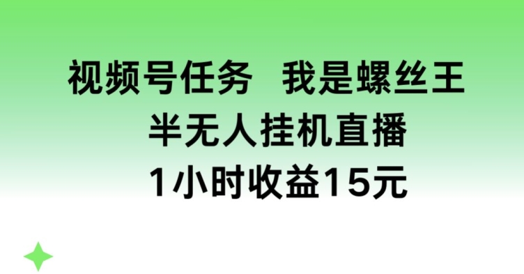 视频号任务，我是螺丝王， 半无人挂JI1小时收益15元【揭秘】